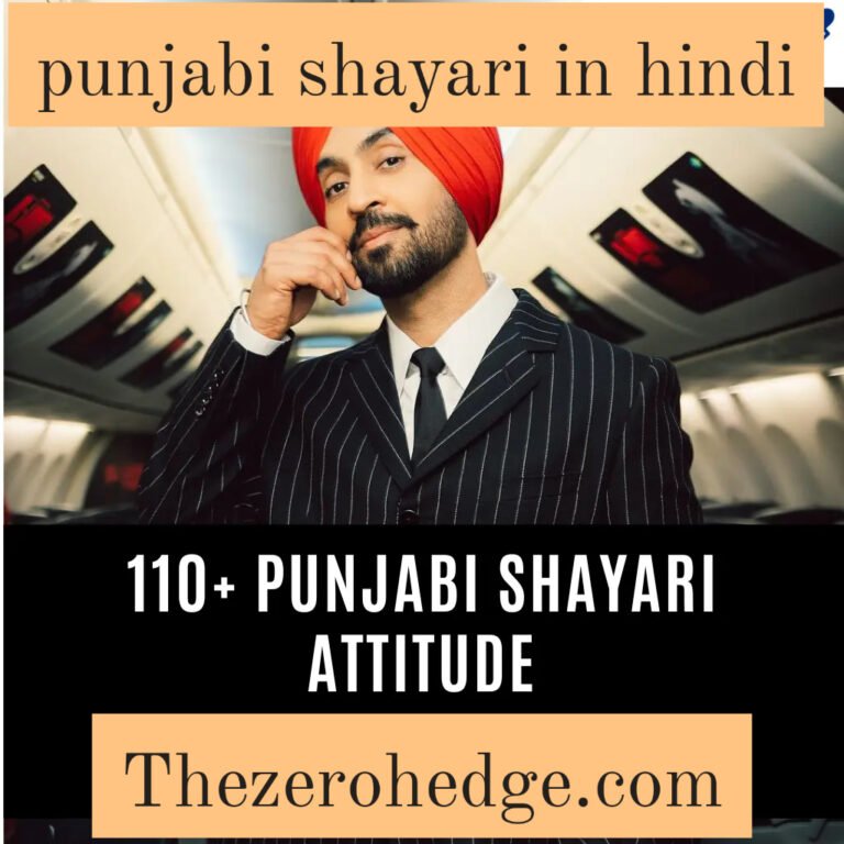 Punjabi Shayari in Hindi